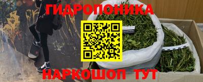 шишки Севастополь
