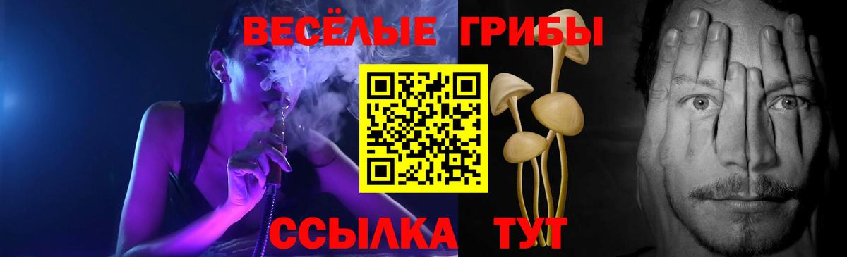 как найти закладки  Псилоцибиновые грибы Psilocybe  Богородицк  Вход с VPN  Псилоцибиновые грибы мухоморы 